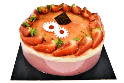 fraisier-gien